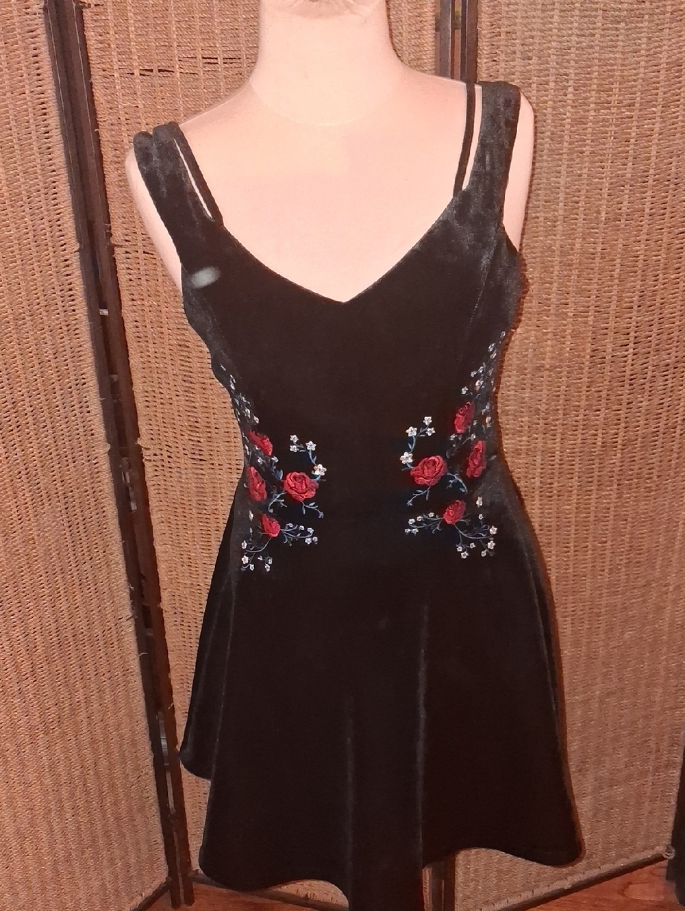 Francesca's Collections Black Velvet Mini Dress with Red Rose Embroidery